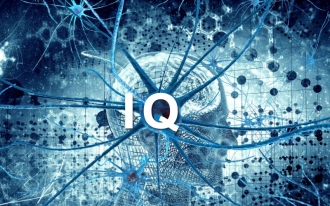 Фото - Что влияет на интеллект человека (IQ)?