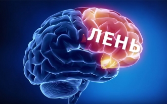 Фото - Как из мозга убрать лень?